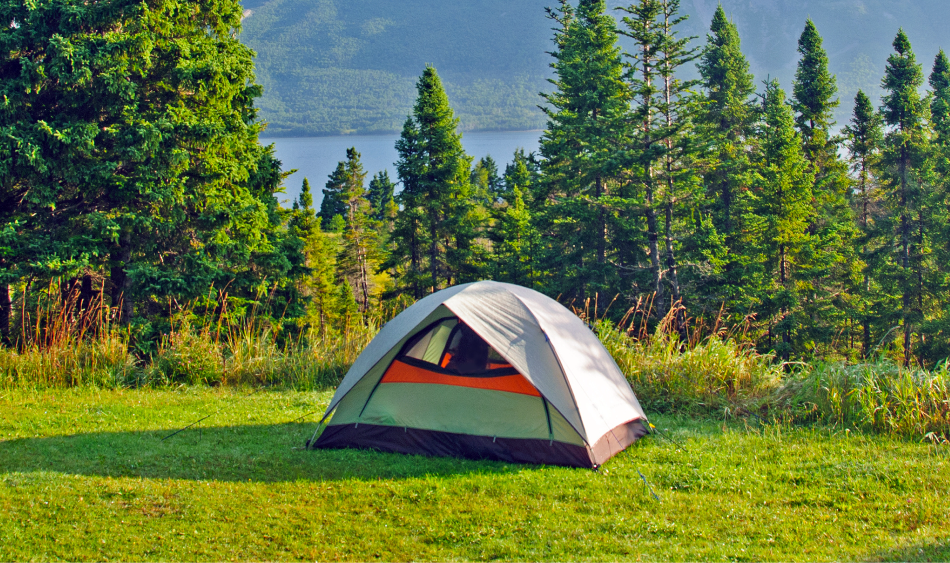 RMS Cloud Ferienparks und Campingplätze 